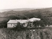 Vila Gavrilović, pogled s vrha vinograda